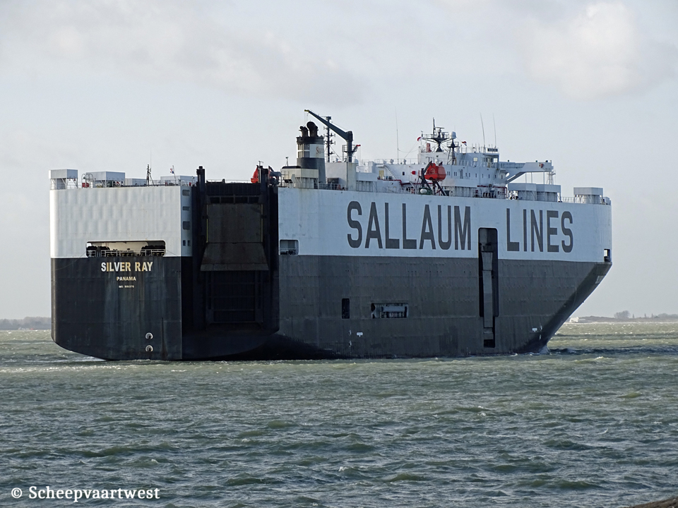 scheepvaartwest - Silver Ray - IMO 9181376